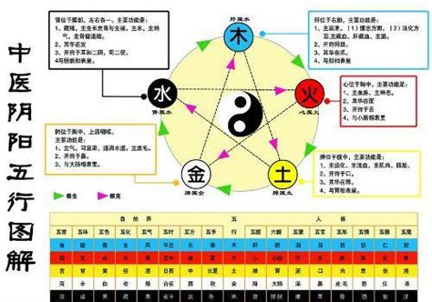 金生水 五行|怎样理解五行理论中的“金生水”？